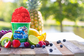 Kona Ice a franchise opportunity from Franchise Genius